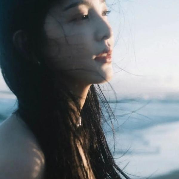 GIVER 复仇的赠与人